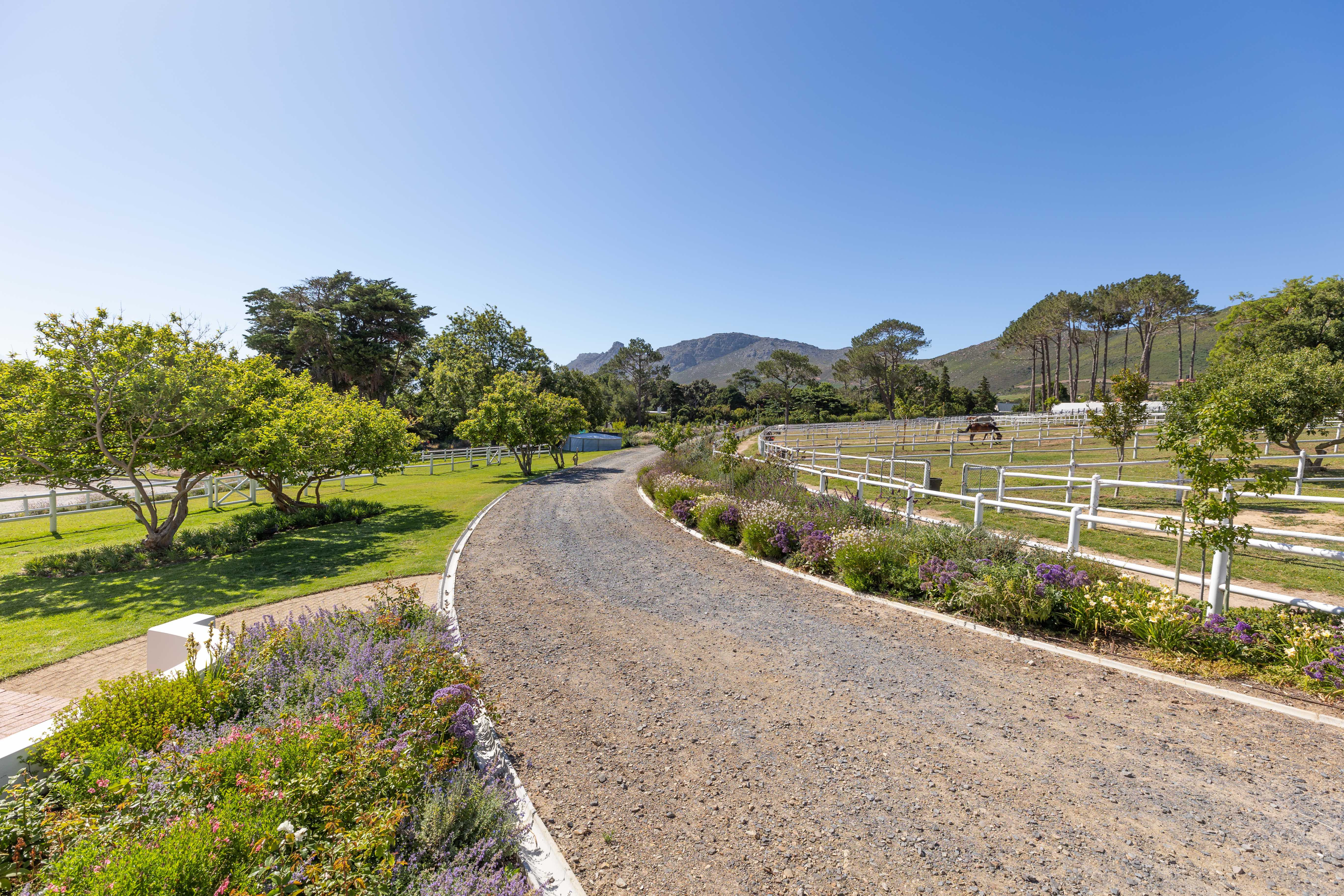 Canter track and arena with mountain backdrop and landscaped gardens