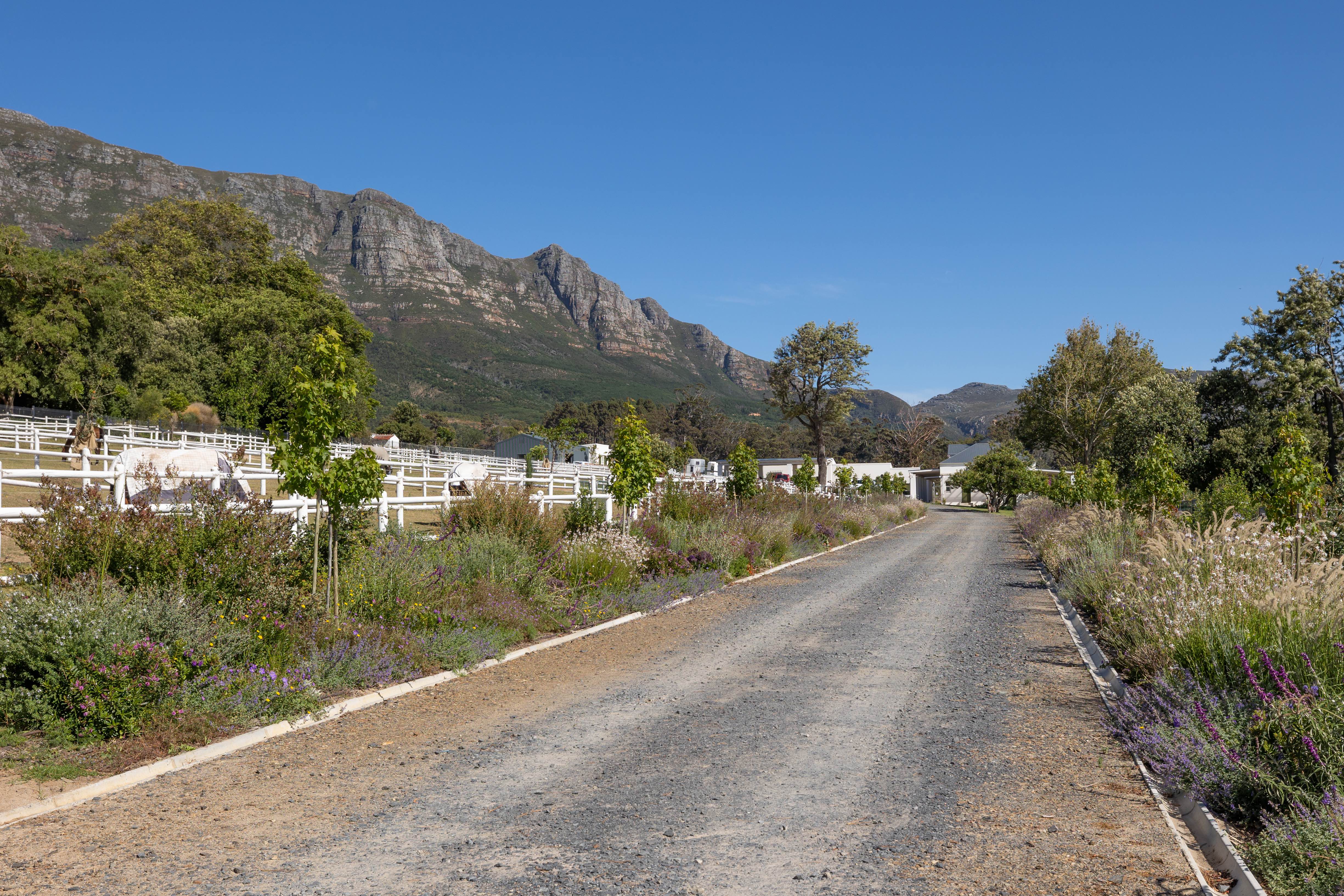 Driveway leading to stables with Table Mountain views and white fencing