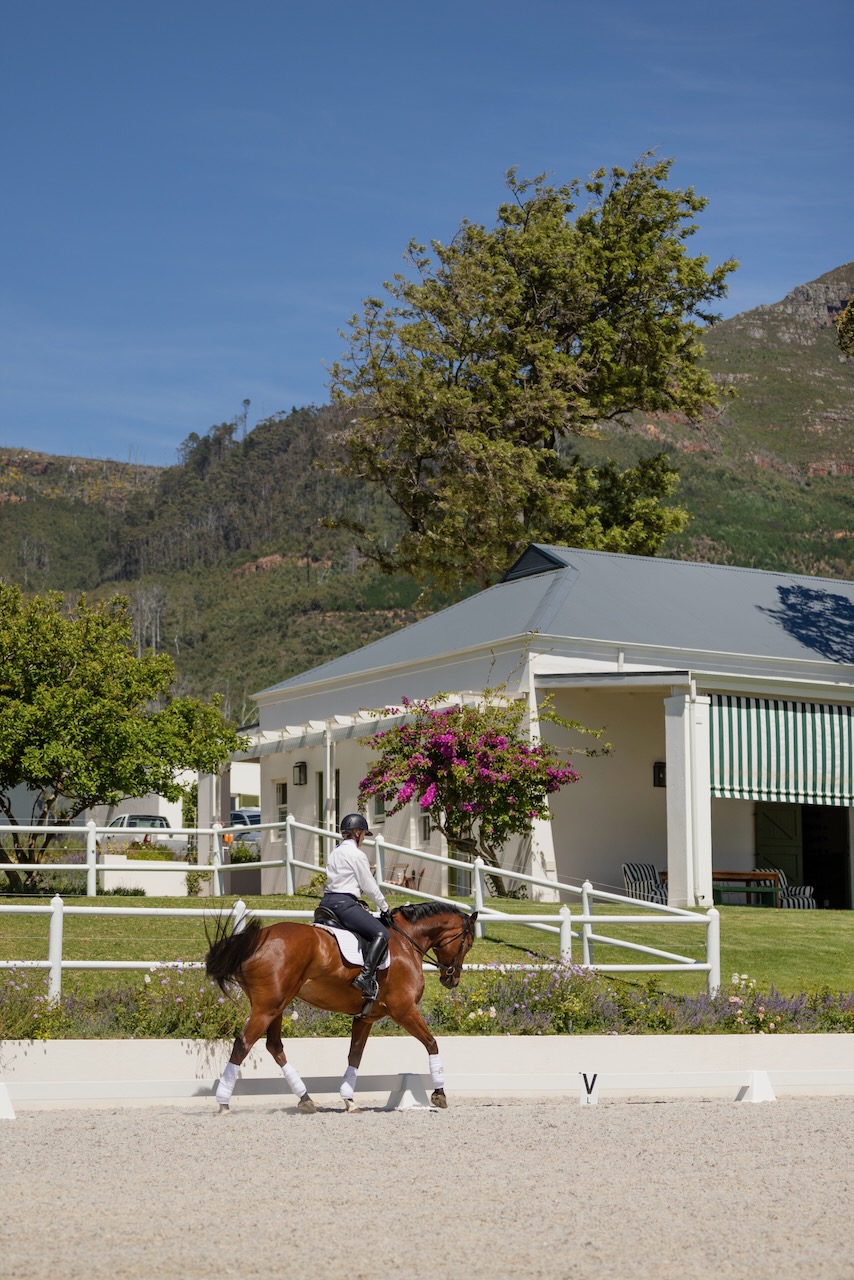 Rider on bay horse in dressage arena with white building and bougainvillea in background