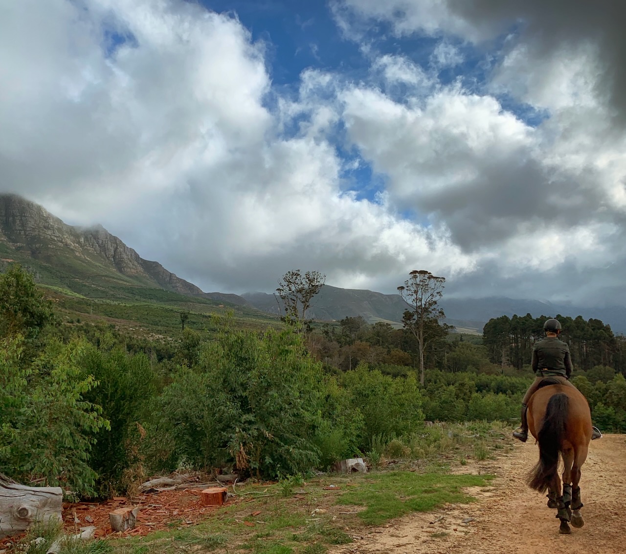 Rider on horseback enjoying scenic mountain trail with dramatic cloudy skies and indigenous vegetation