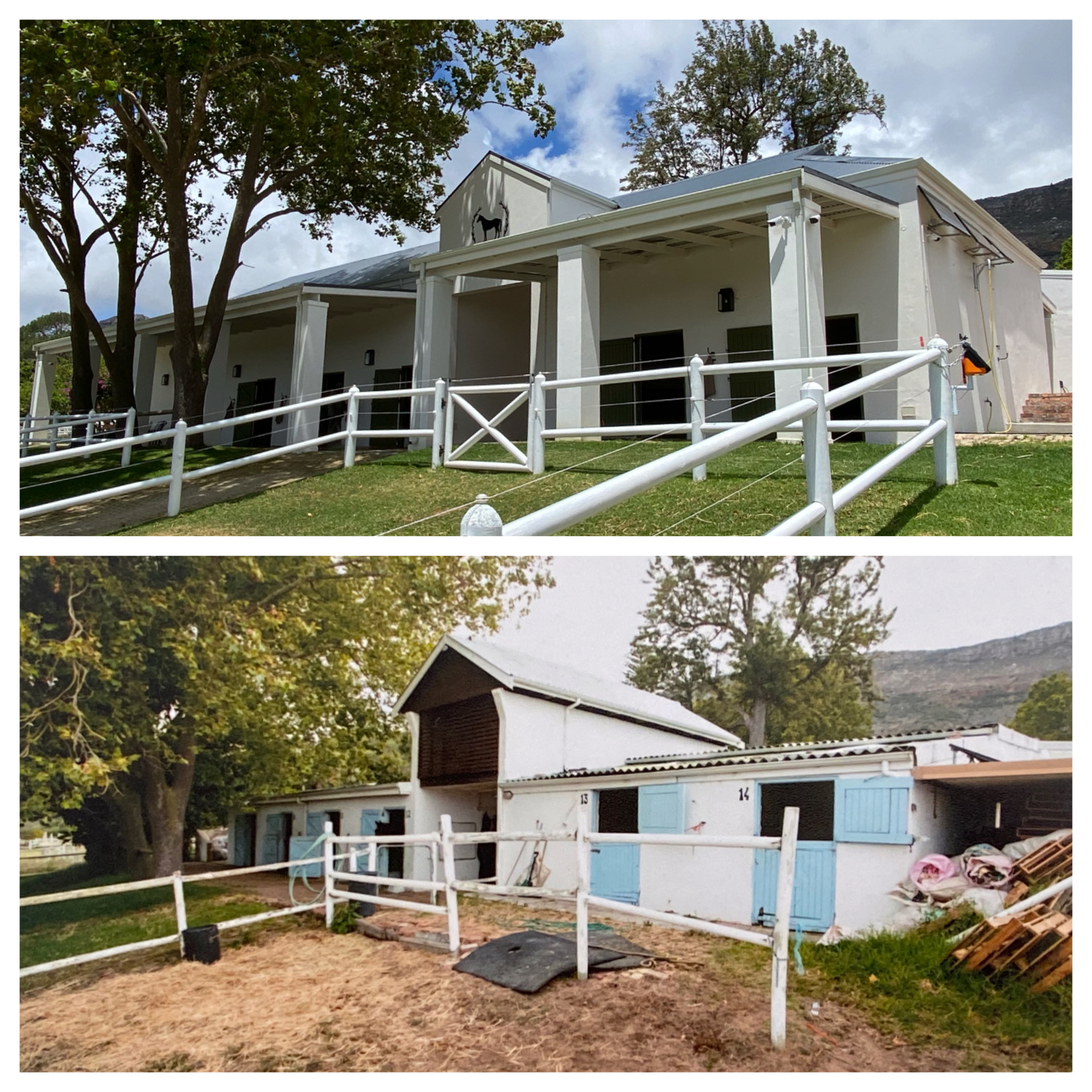 Additional view of stable transformation from basic old facilities to modern renovated Bentgrass Stables