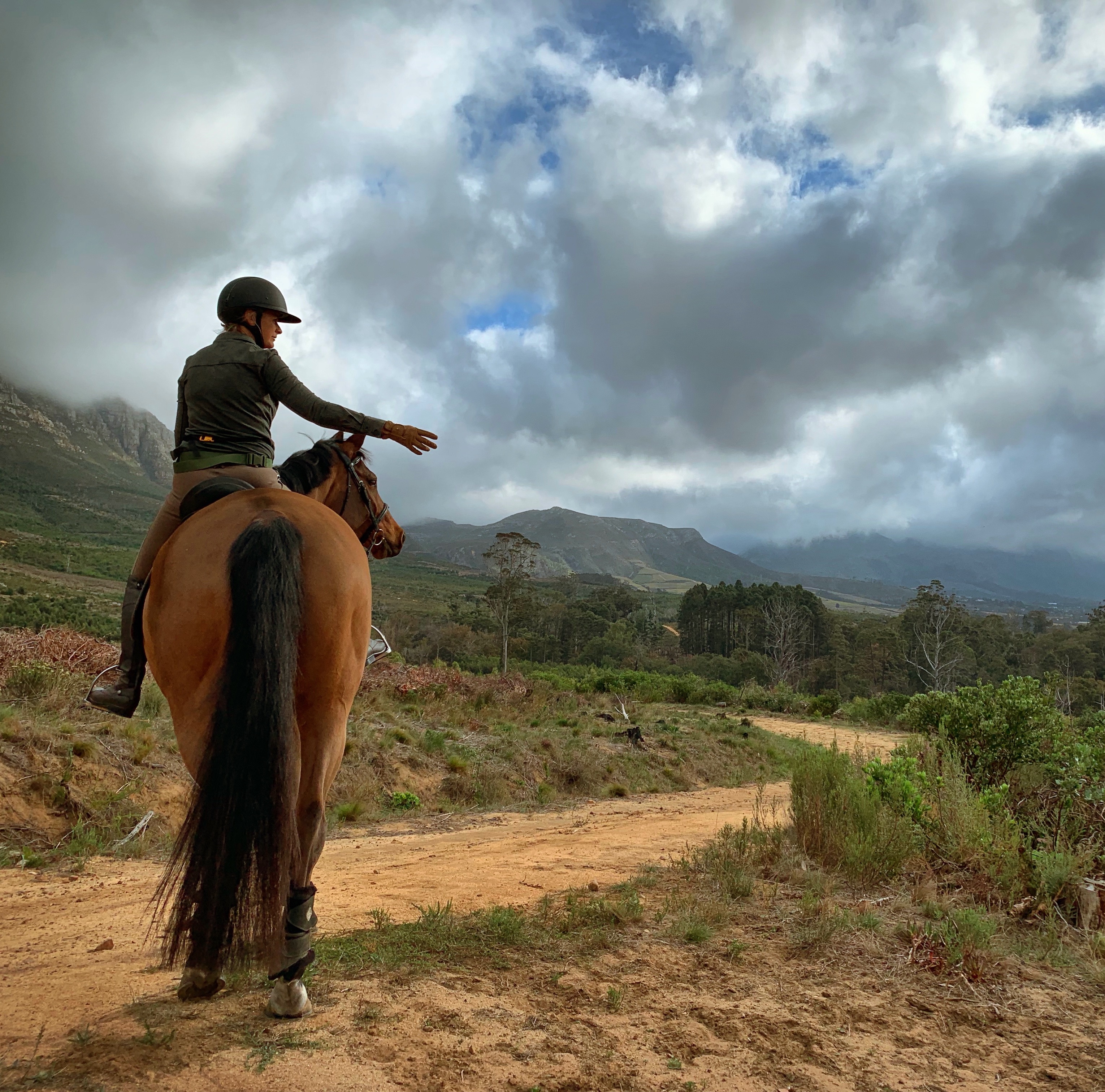 Horse riding on Tokai Forest trails with mountain views